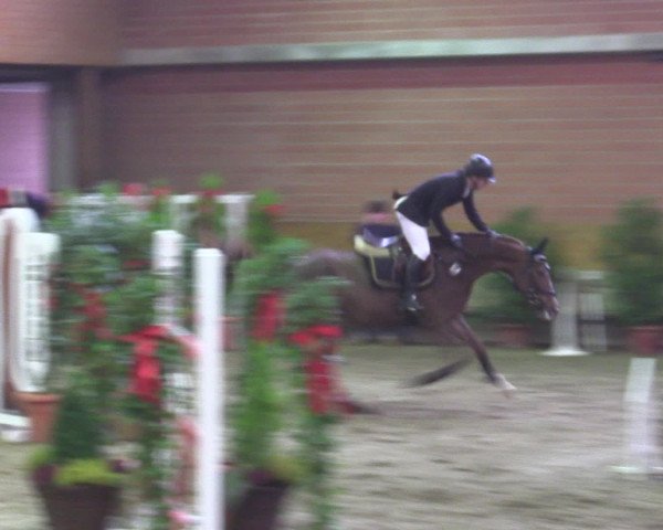 Reitturnier Paderborn 2015