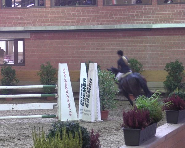Reitturnier Paderborn 2015