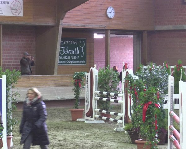Reitturnier Paderborn 2015
