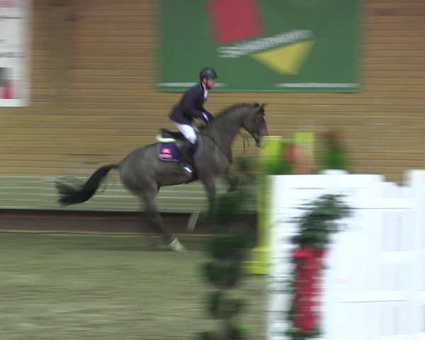 Reitturnier Paderborn 2015