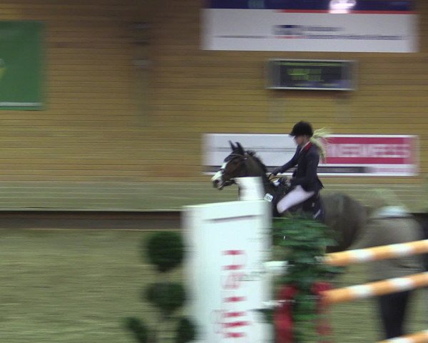 Reitturnier Paderborn 2015