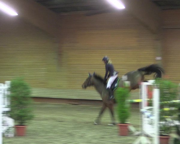Reitturnier Paderborn 2015