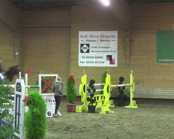 Reitturnier Paderborn 2015