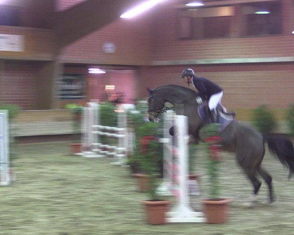 Reitturnier Paderborn 2015