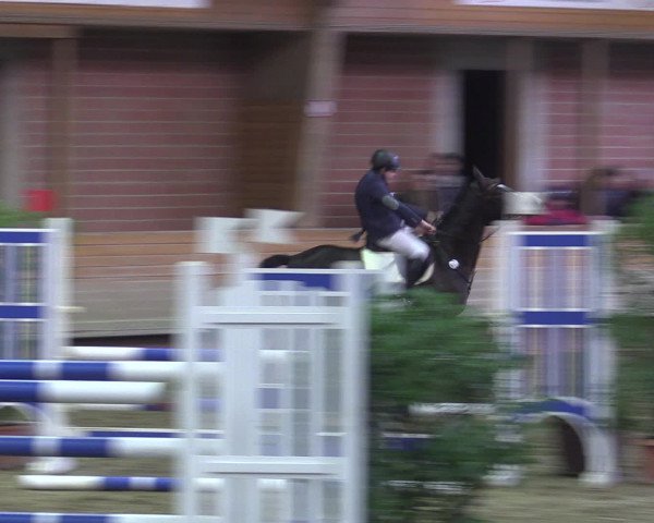 Reitturnier Paderborn 2015