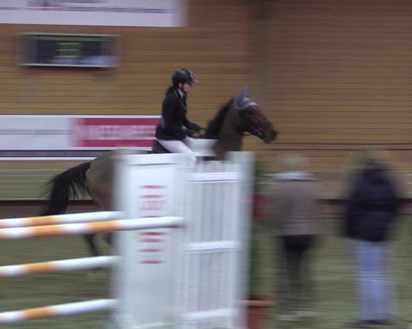 Reitturnier Paderborn 2015