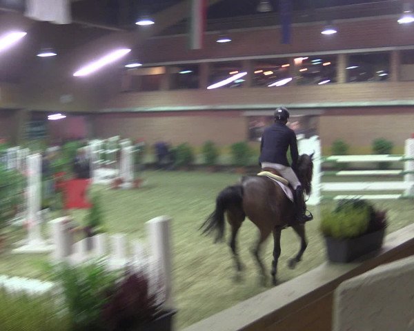Reitturnier Paderborn 2015