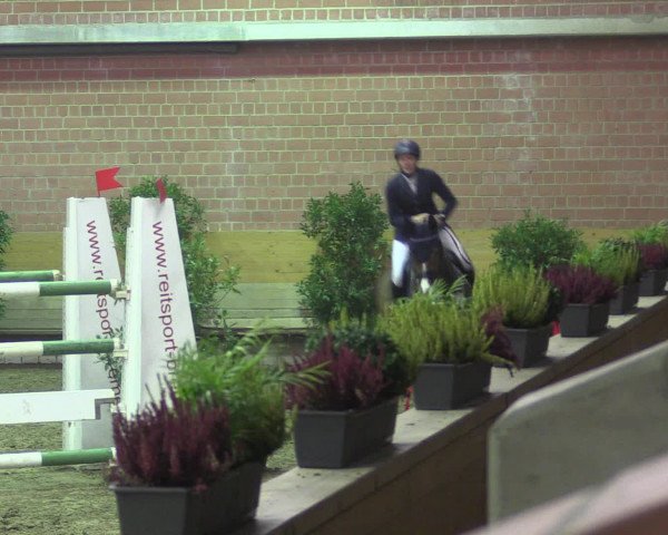 Reitturnier Paderborn 2015
