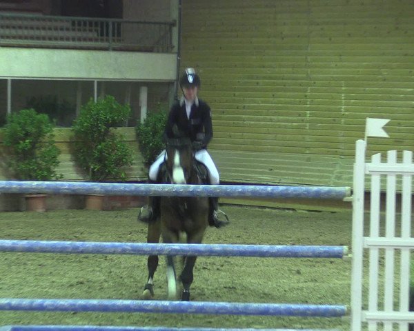 Reitturnier Paderborn 2015