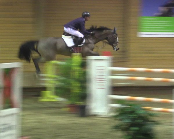Reitturnier Paderborn 2015