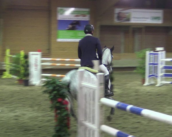 Reitturnier Paderborn 2015