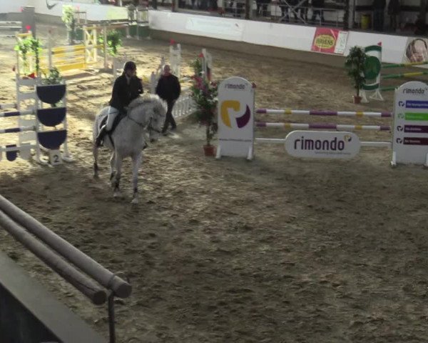 Reitturnier Alt Marl 2015