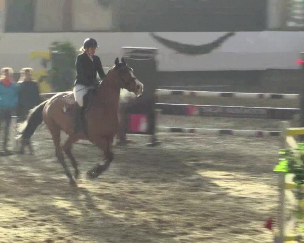 Reitturnier Alt Marl 2015