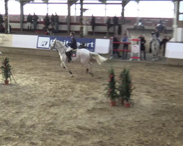 Reitturnier Alt Marl 2015