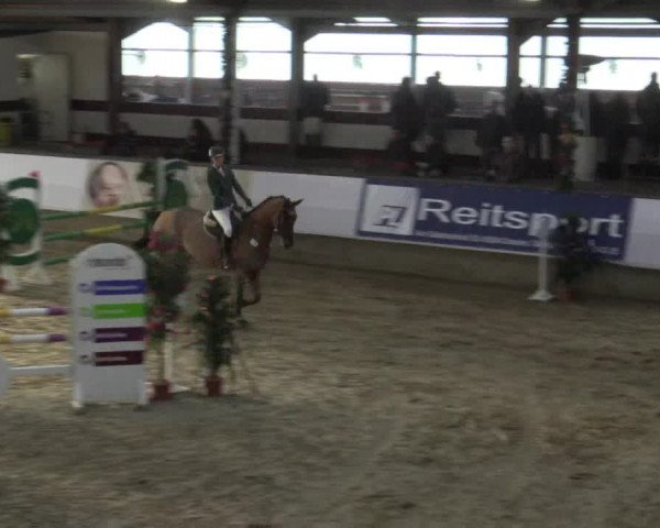 Reitturnier Alt Marl 2015
