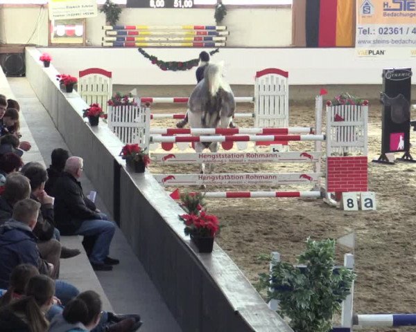 Reitturnier Alt Marl 2015
