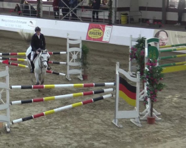Reitturnier Alt Marl 2015