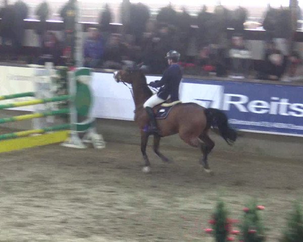 Reitturnier Alt Marl 2015