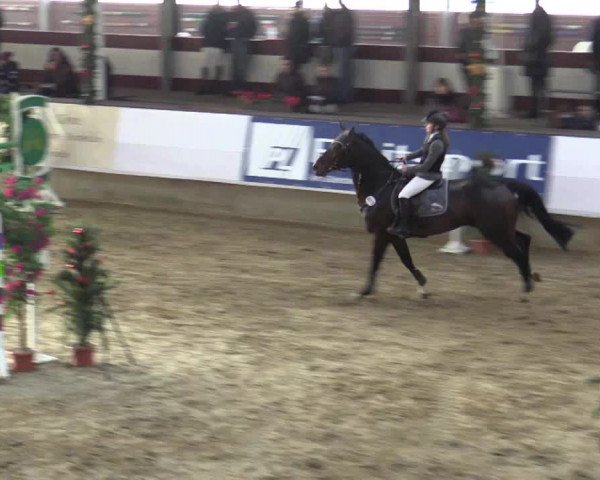 Reitturnier Alt Marl 2015
