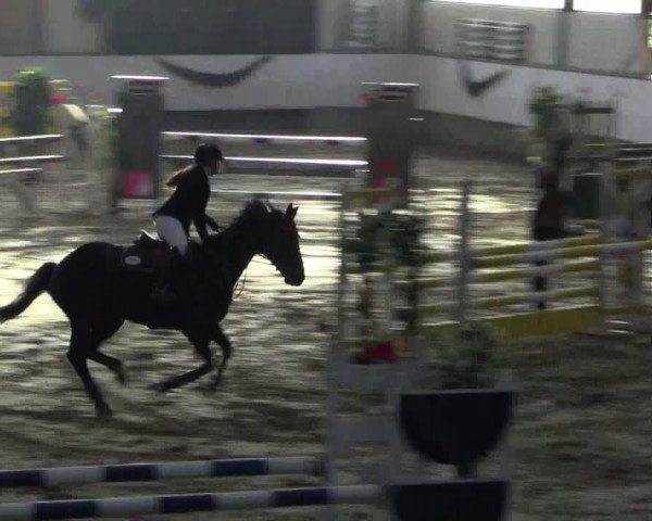 Reitturnier Alt Marl 2015