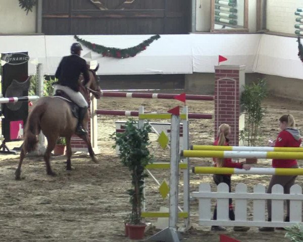 Reitturnier Alt Marl 2015