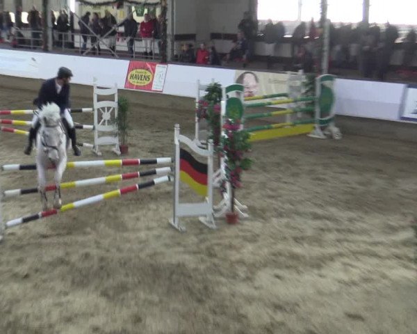 Reitturnier Alt Marl 2015