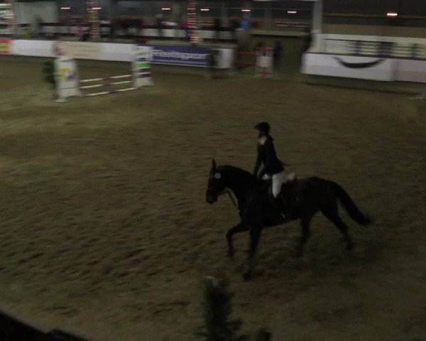 Reitturnier Alt Marl 2015