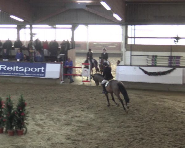 Reitturnier Alt Marl 2015