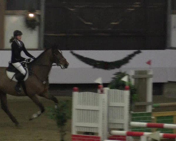 Reitturnier Alt Marl 2015