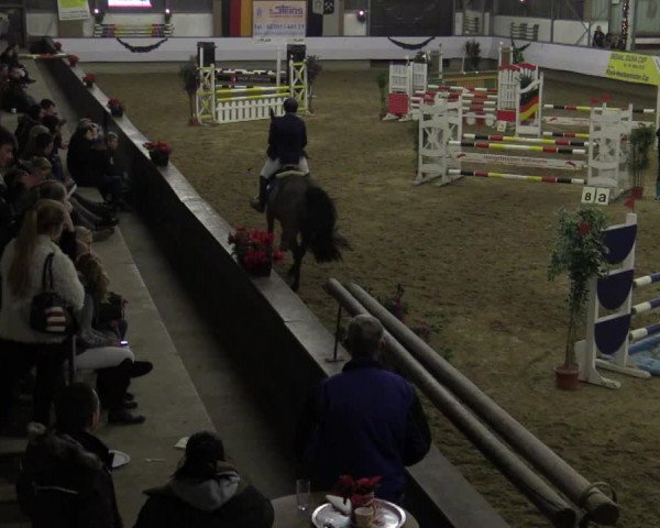 Reitturnier Alt Marl 2015