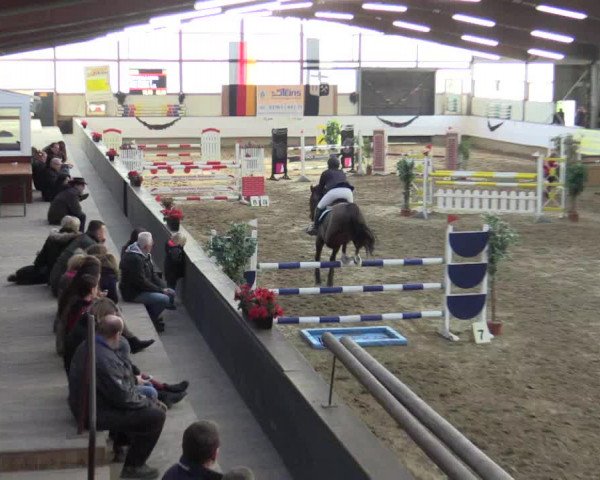 Reitturnier Alt Marl 2015