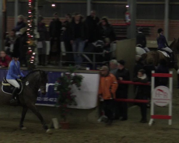Reitturnier Alt Marl 2015