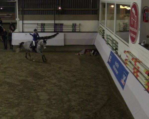 Reitturnier Alt Marl 2015