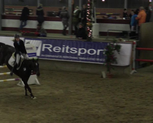 Reitturnier Alt Marl 2015