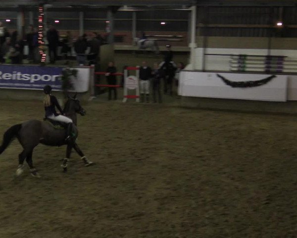 Reitturnier Alt Marl 2015