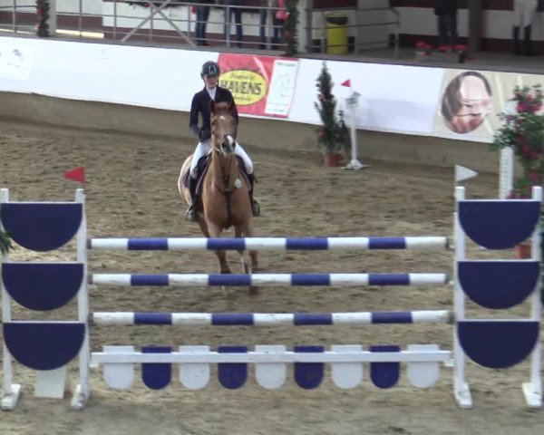 Reitturnier Alt Marl 2015
