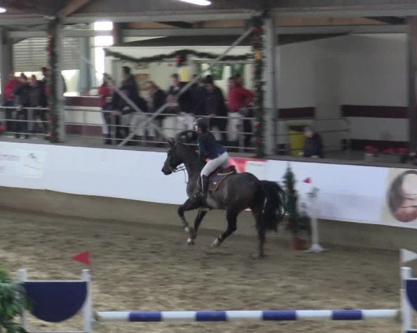Reitturnier Alt Marl 2015