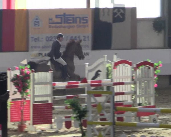 Reitturnier Alt Marl 2015