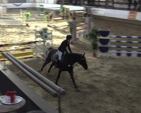 Reitturnier Alt Marl 2015