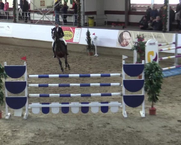 Reitturnier Alt Marl 2015
