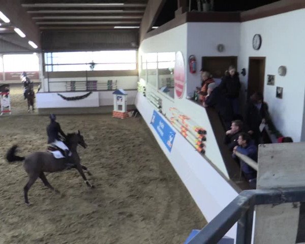 Reitturnier Alt Marl 2015