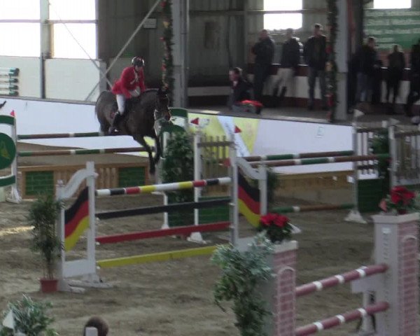 Reitturnier Alt Marl 2015