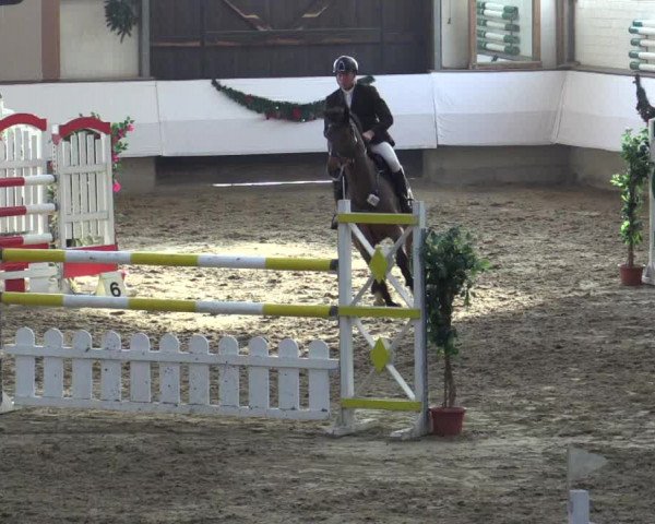 Reitturnier Alt Marl 2015