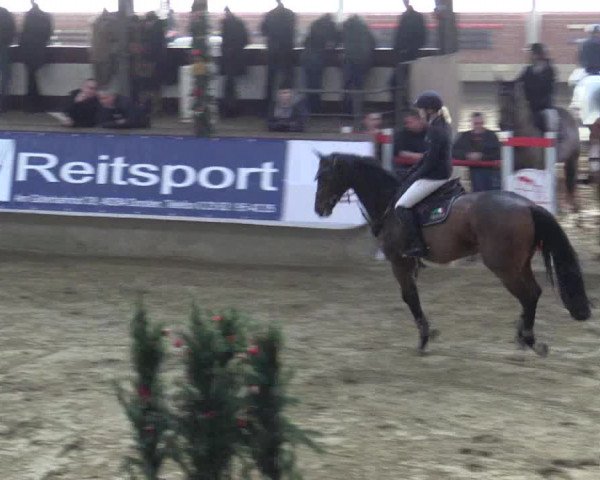 Reitturnier Alt Marl 2015