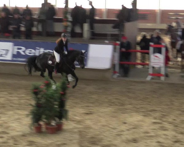Reitturnier Alt Marl 2015