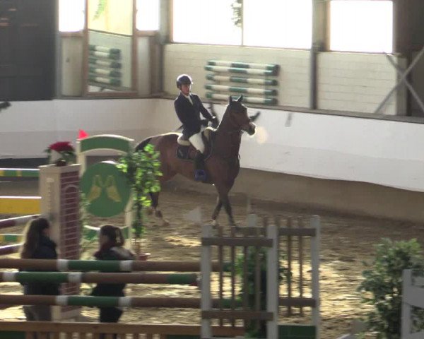 Reitturnier Alt Marl 2015