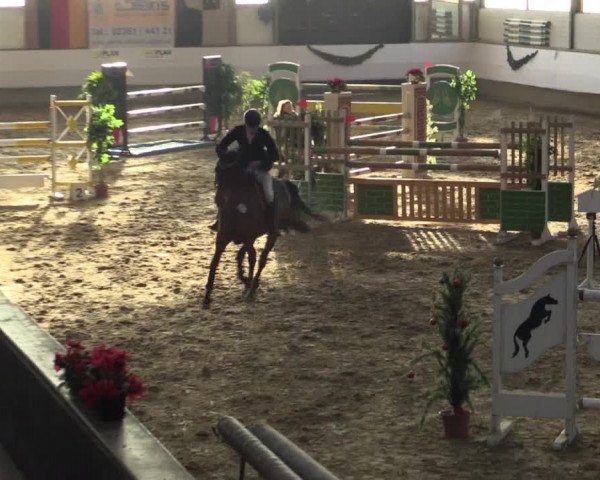 Reitturnier Alt Marl 2015