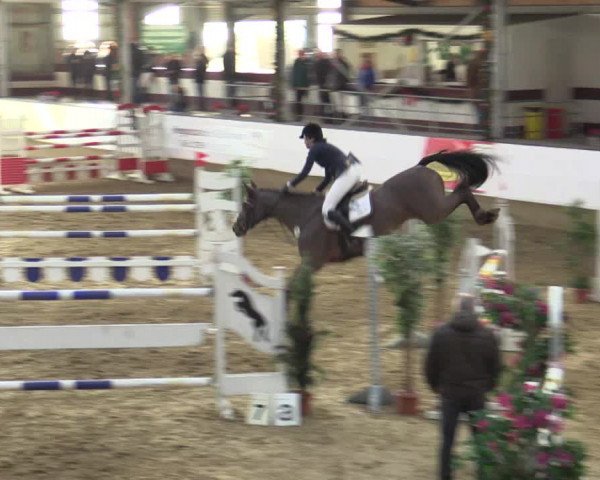 Reitturnier Alt Marl 2015