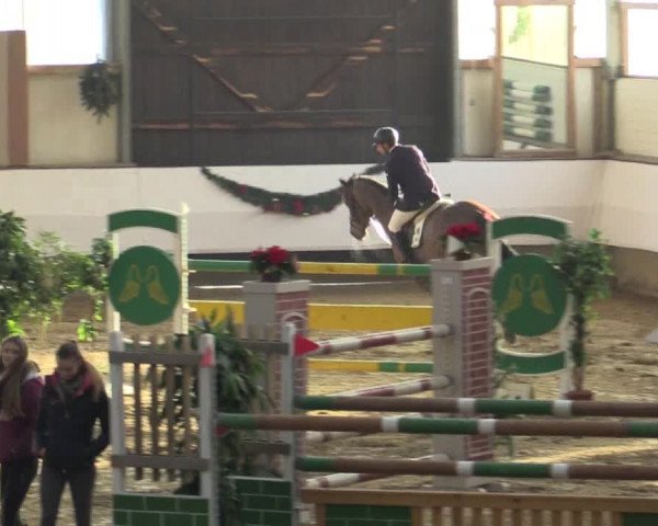 Reitturnier Alt Marl 2015