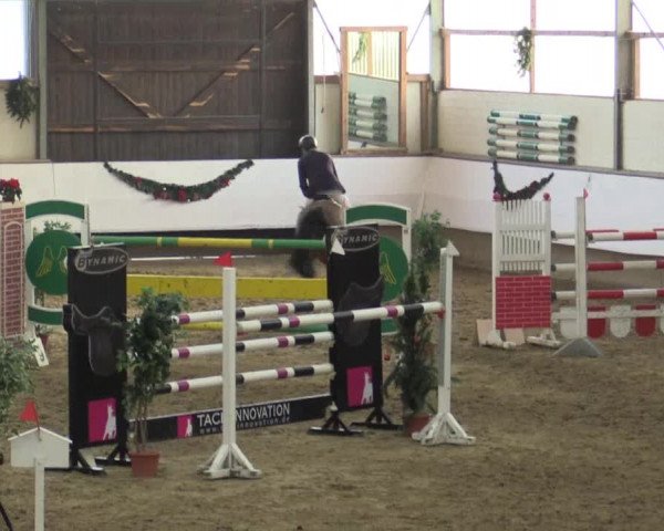 Reitturnier Alt Marl 2015